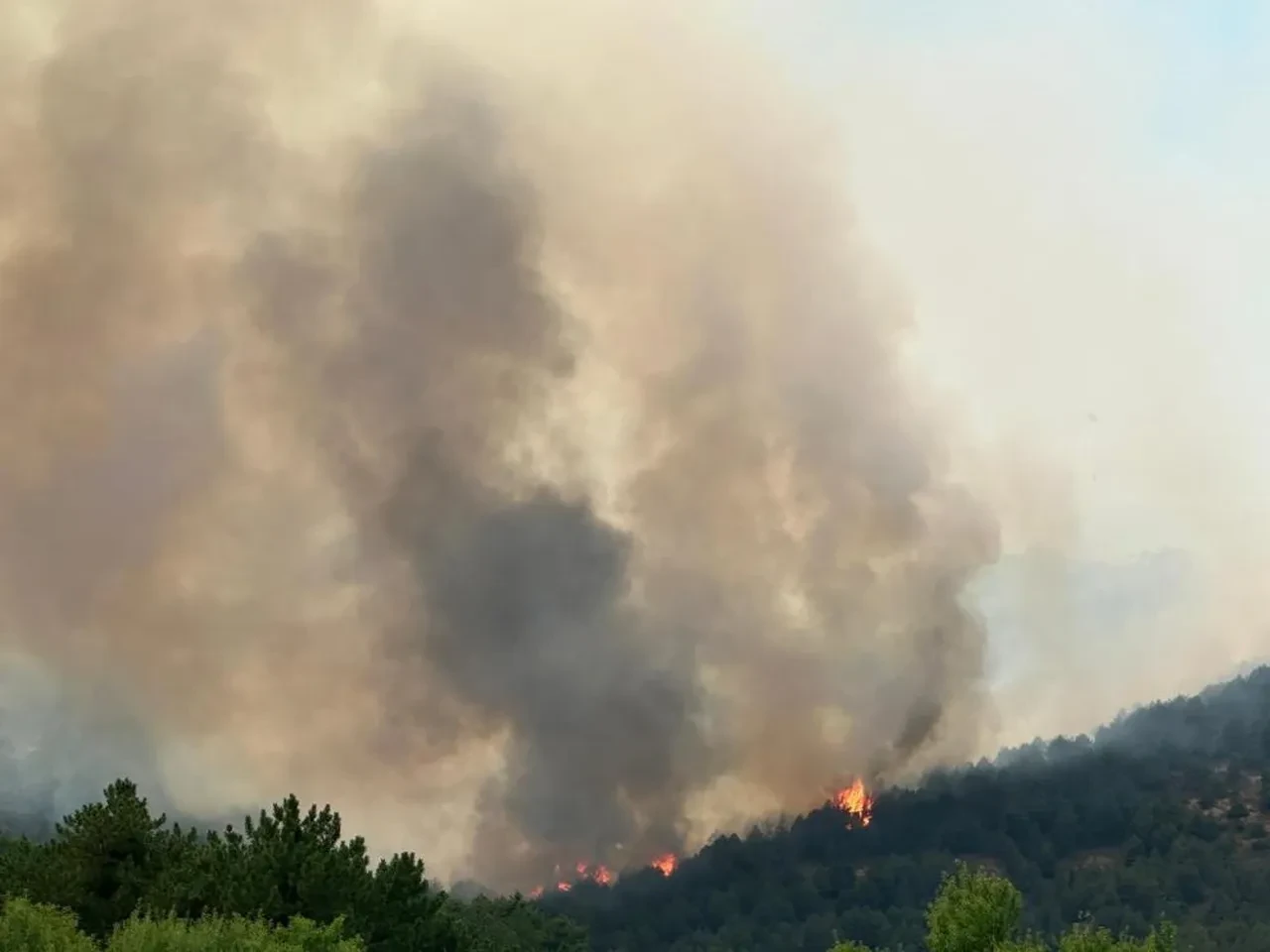 Uşak'ta orman yangını! Alevlere havadan ve karadan müdahale sürüyor
