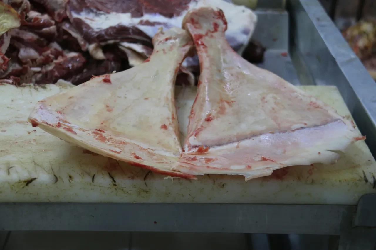 Asırlardır süren o yöntem! Büyüden korunmak için yapıyorlar