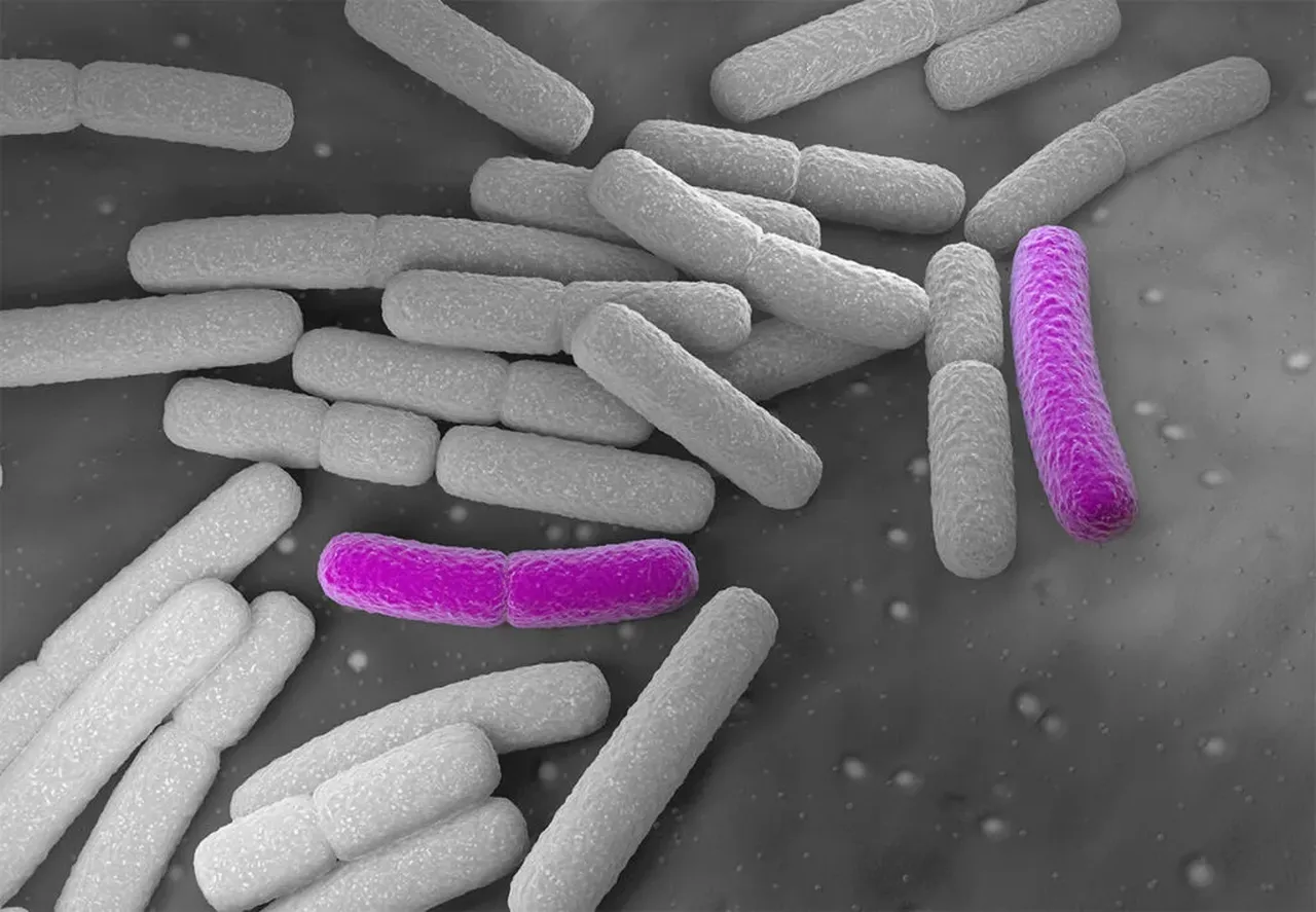 Dünyada yeni tehlike: Süper böcekler! Ekonomiyi de altüst edecekler 
