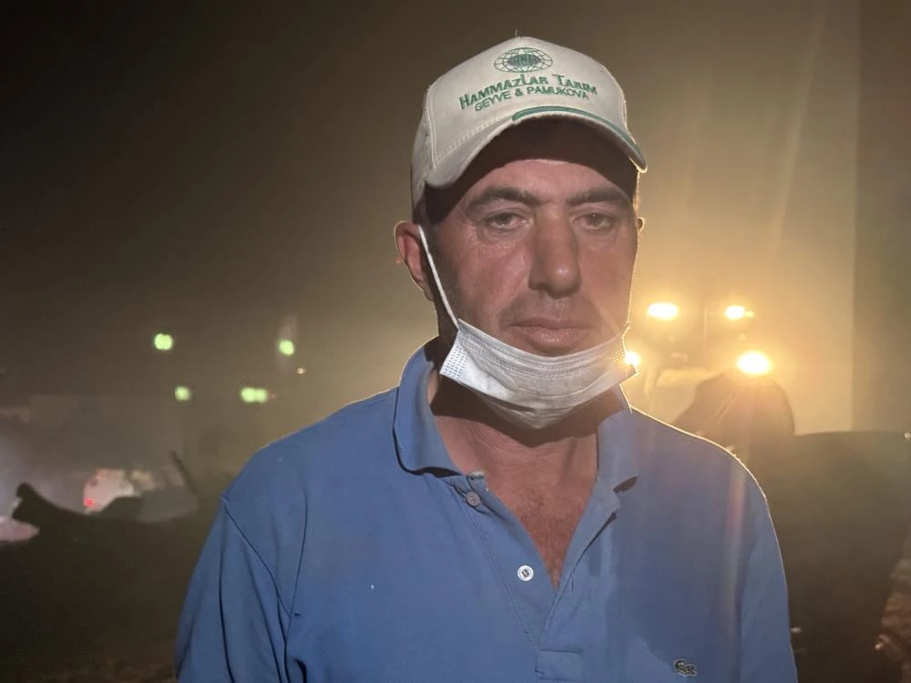 Sakarya'daki orman yangınında 3 ev daha kül oldu