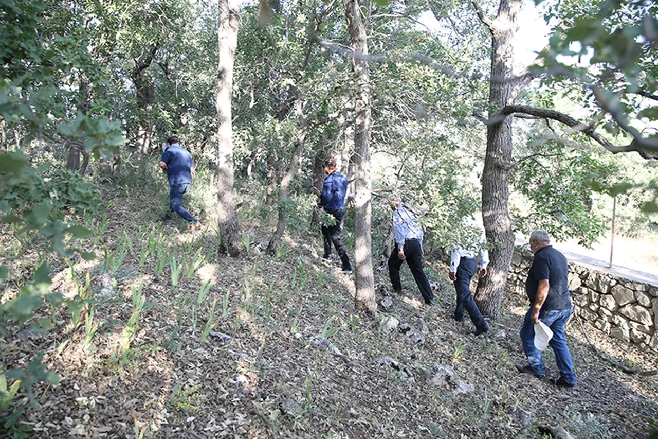 Köylü mezarlığa kimseyi yaklaştırmıyor, dünyada sadece Türkiye'de var! Cezası 500 bin TL'den fazla