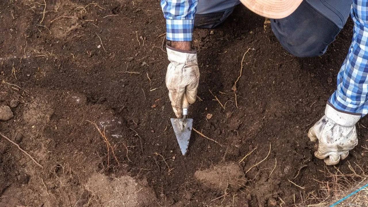 Arkeolojik kazıda 3000 yıllık eşyalar: Roma dönemi ve Tunç Çağı'ndan kalma