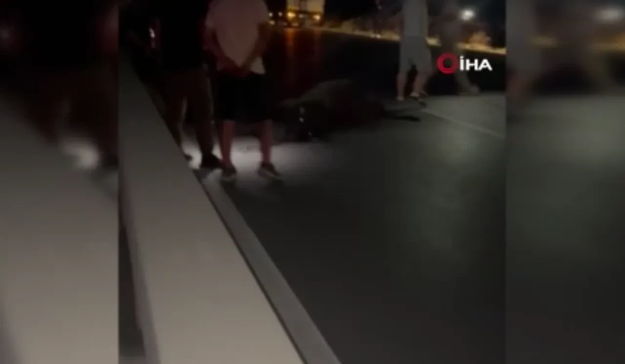Başıboş manda dehşet saçtı! Zincirleme kazada 3 kişi yaralandı