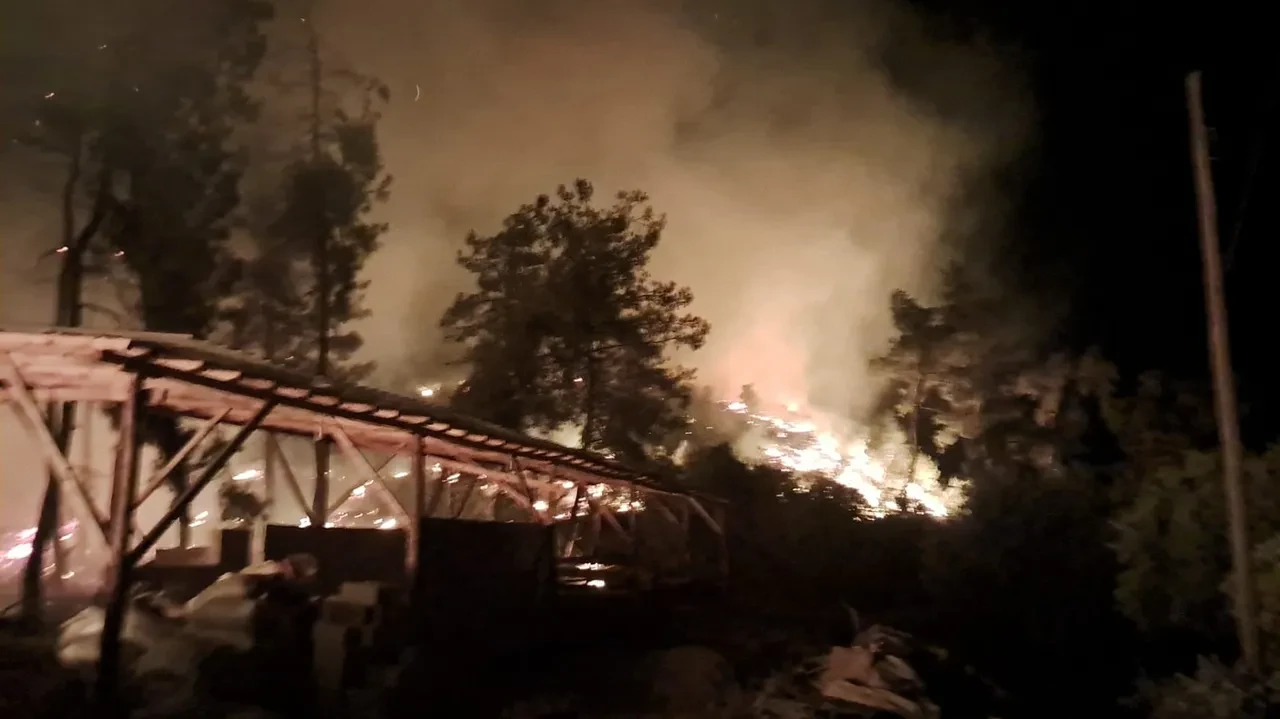 Bilecik’te bir orman yangını daha! Köyler boşaltıldı, yollarda kilometrelerce kuyruk: Dumanlar Eskişehir'e ulaştı