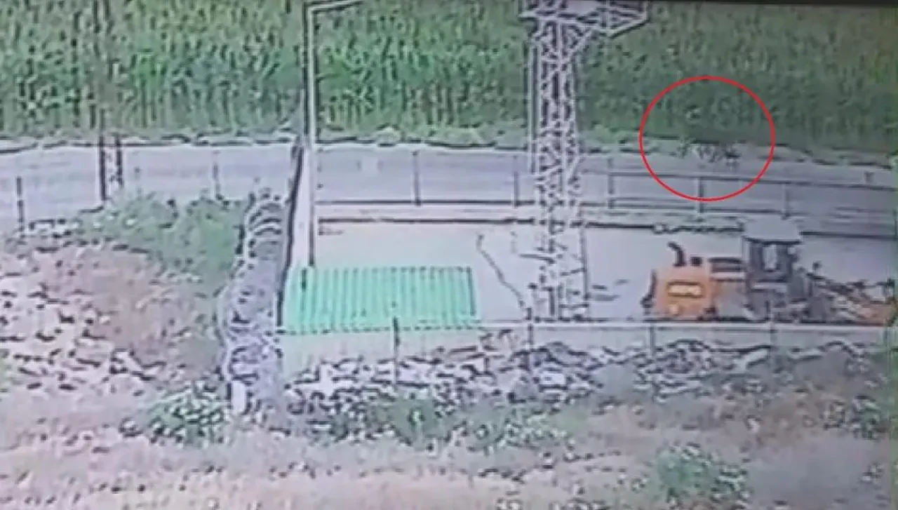 Firari angusların sahibi uyardı! "Gördüğünüz yerde kaçın"
