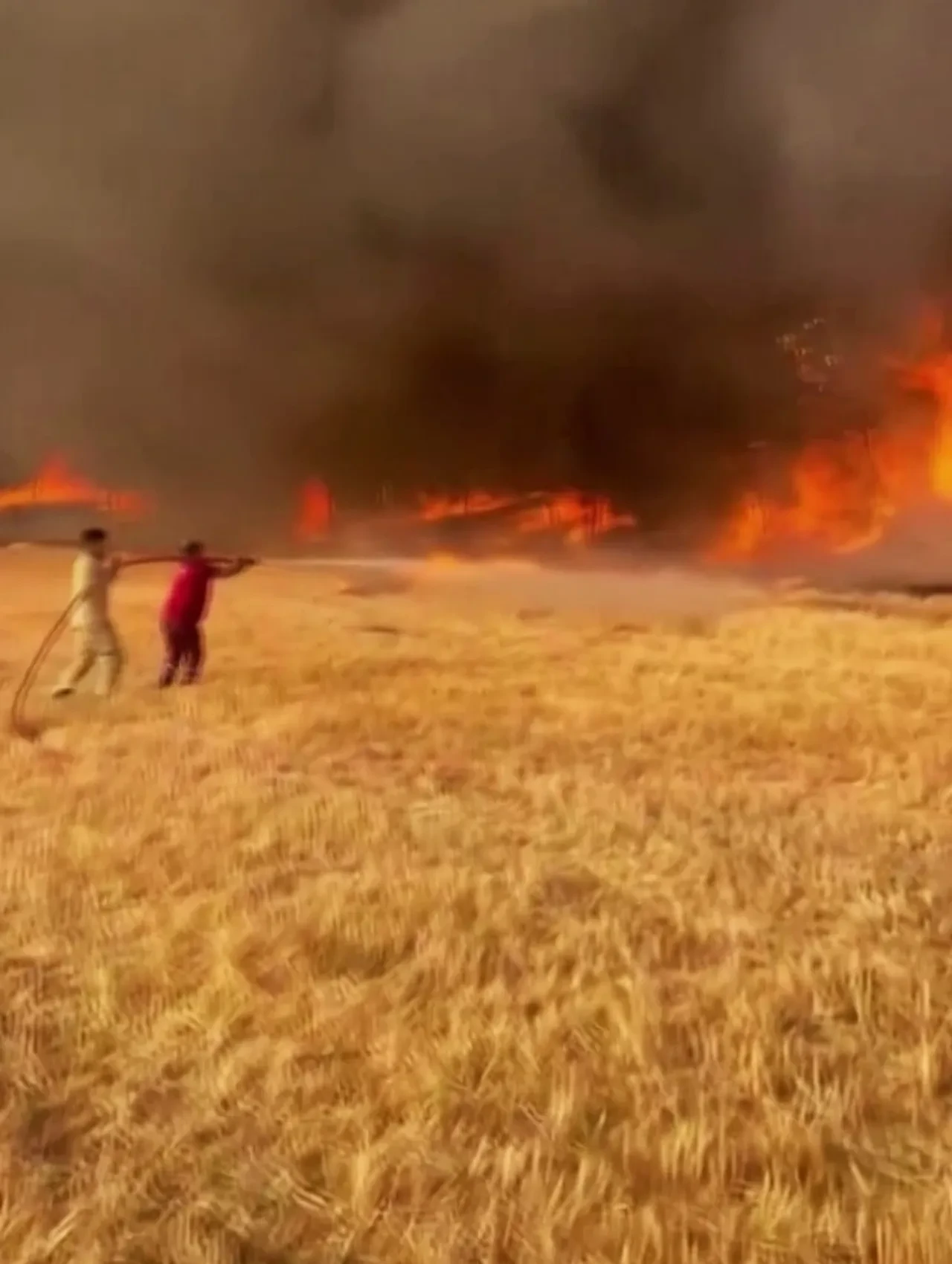 Orman yangınında en çarpıcı görüntü: Alev hortumu oluştu