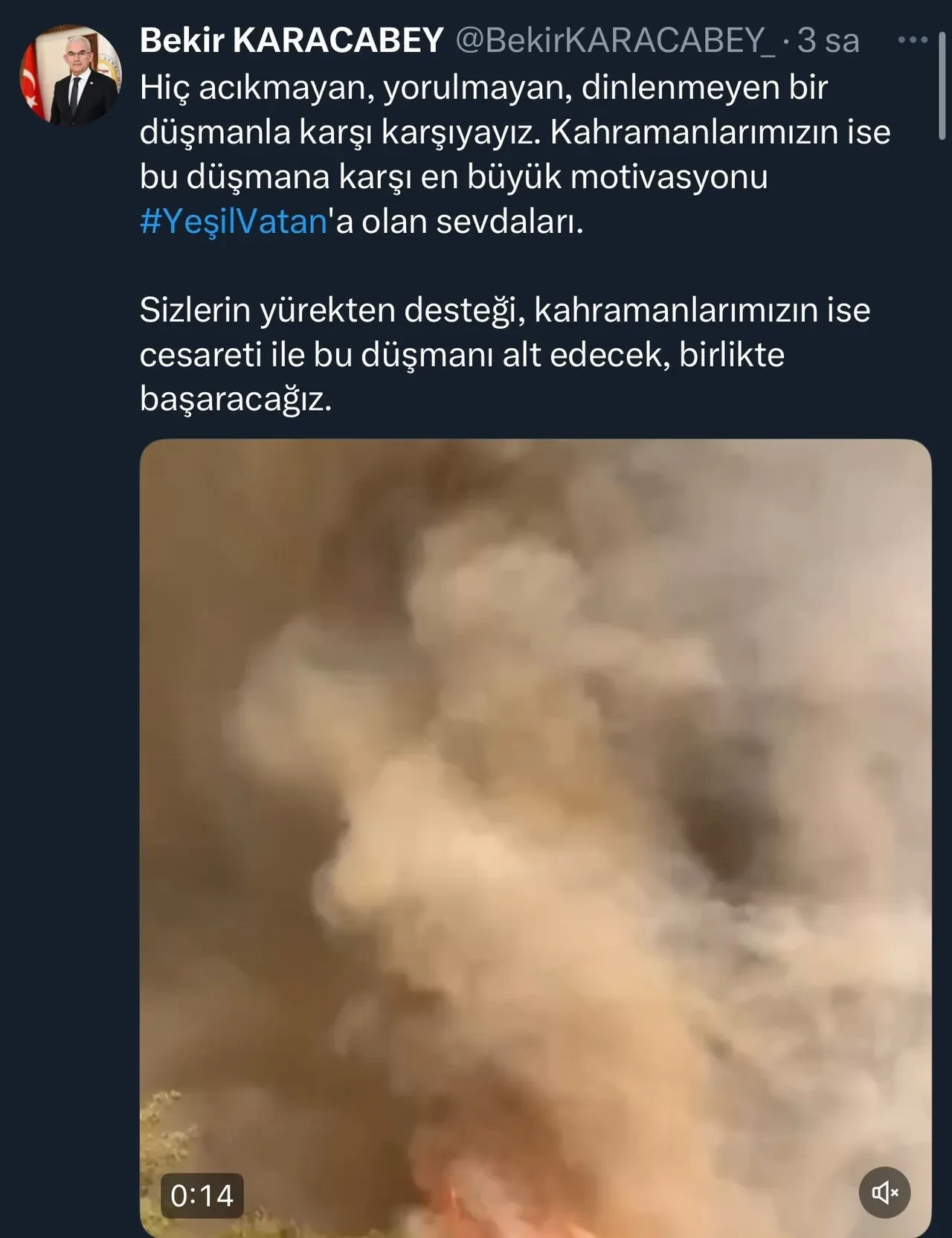 Orman yangınında en çarpıcı görüntü: Alev hortumu oluştu