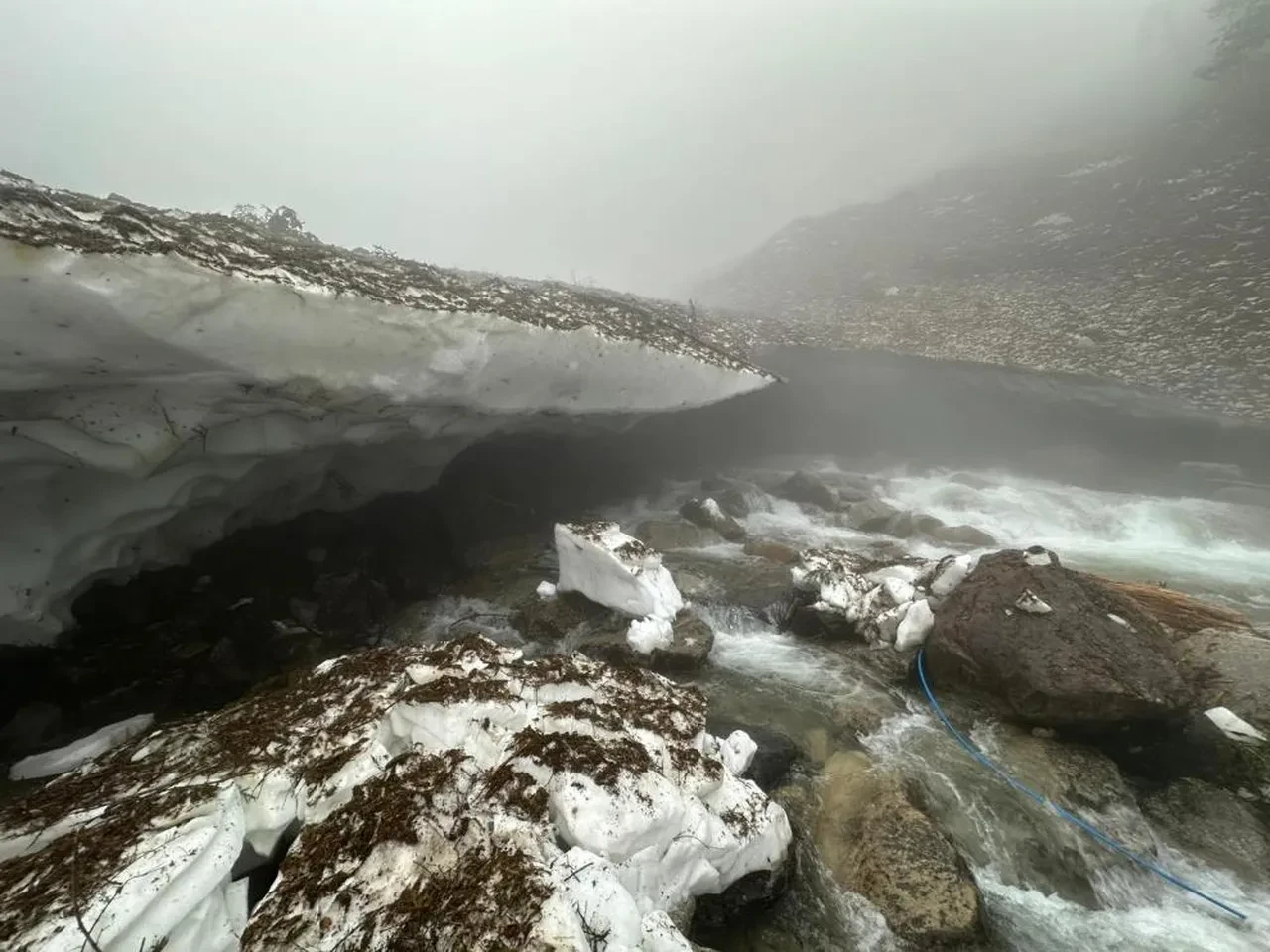 Rize'de yayla fotoğrafı merakı sonu oldu! Karın altında can verdi