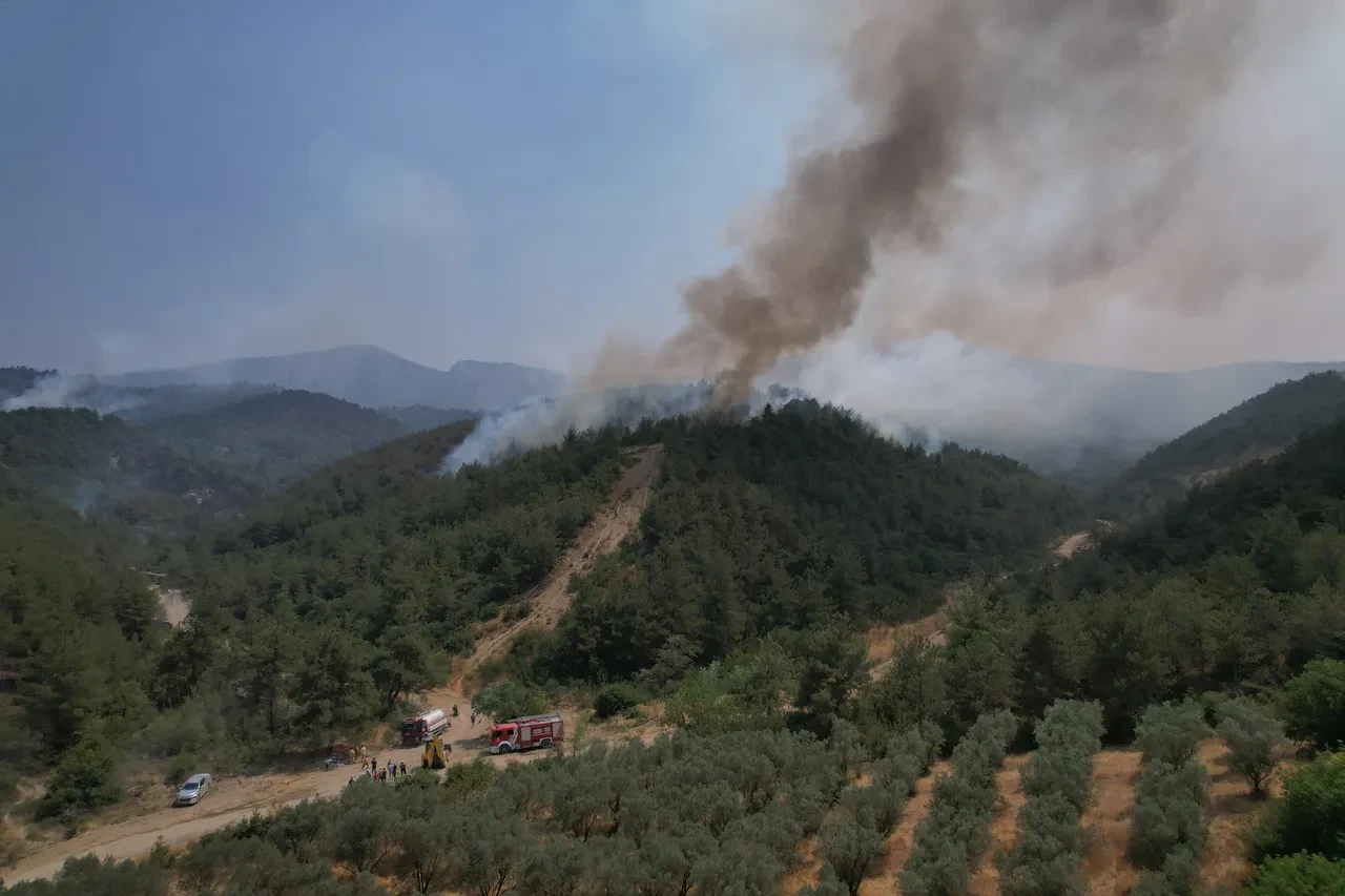 Sakarya yangını söndü mü son dakika? 45 saat önce başladı