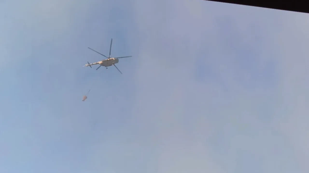 Aniden ortaya çıkınca herkesi korkuttu! Semti adeta örttü