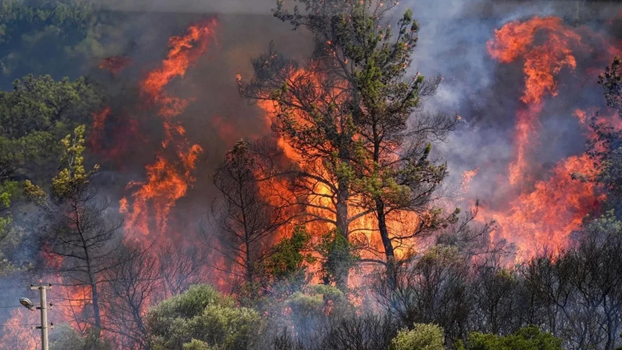 Bakan Yerlikaya tek tek açıkladı! 61 noktada orman yangını: 23 kişi gözaltına alındı
