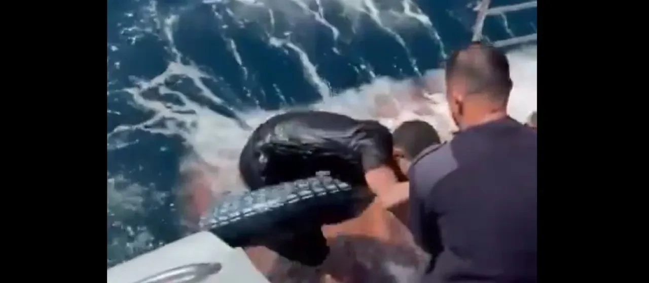 Can simidi ve paletle Cebelitarık Boğazı'nı geçmeye çalıştı! Bir aile hayatını kurtardı