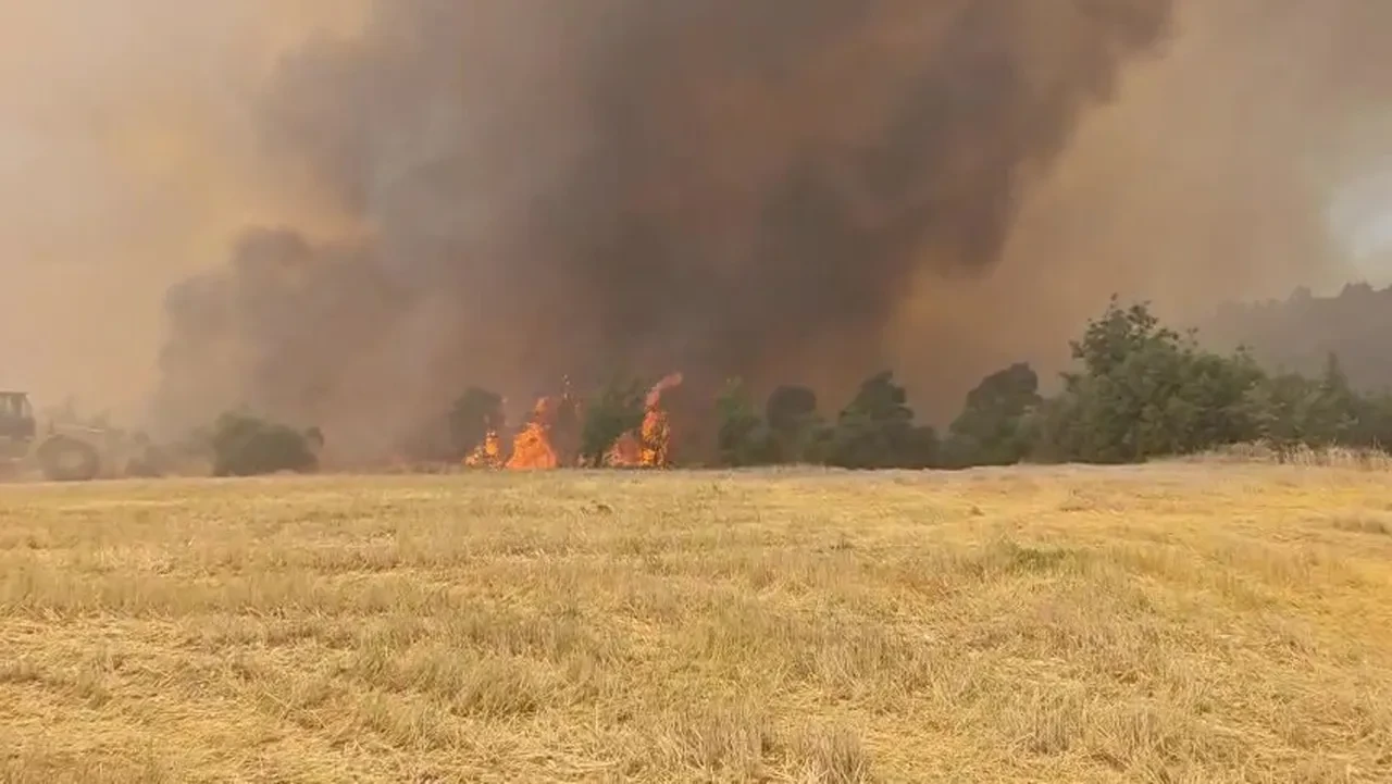 Denizli Çal yangınında son durum! Denizli Orman yangınına müdahale
