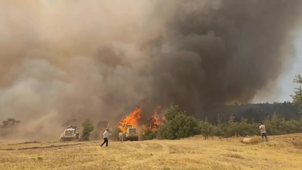 Denizli Çal yangınında son durum! Denizli Orman yangınına müdahale