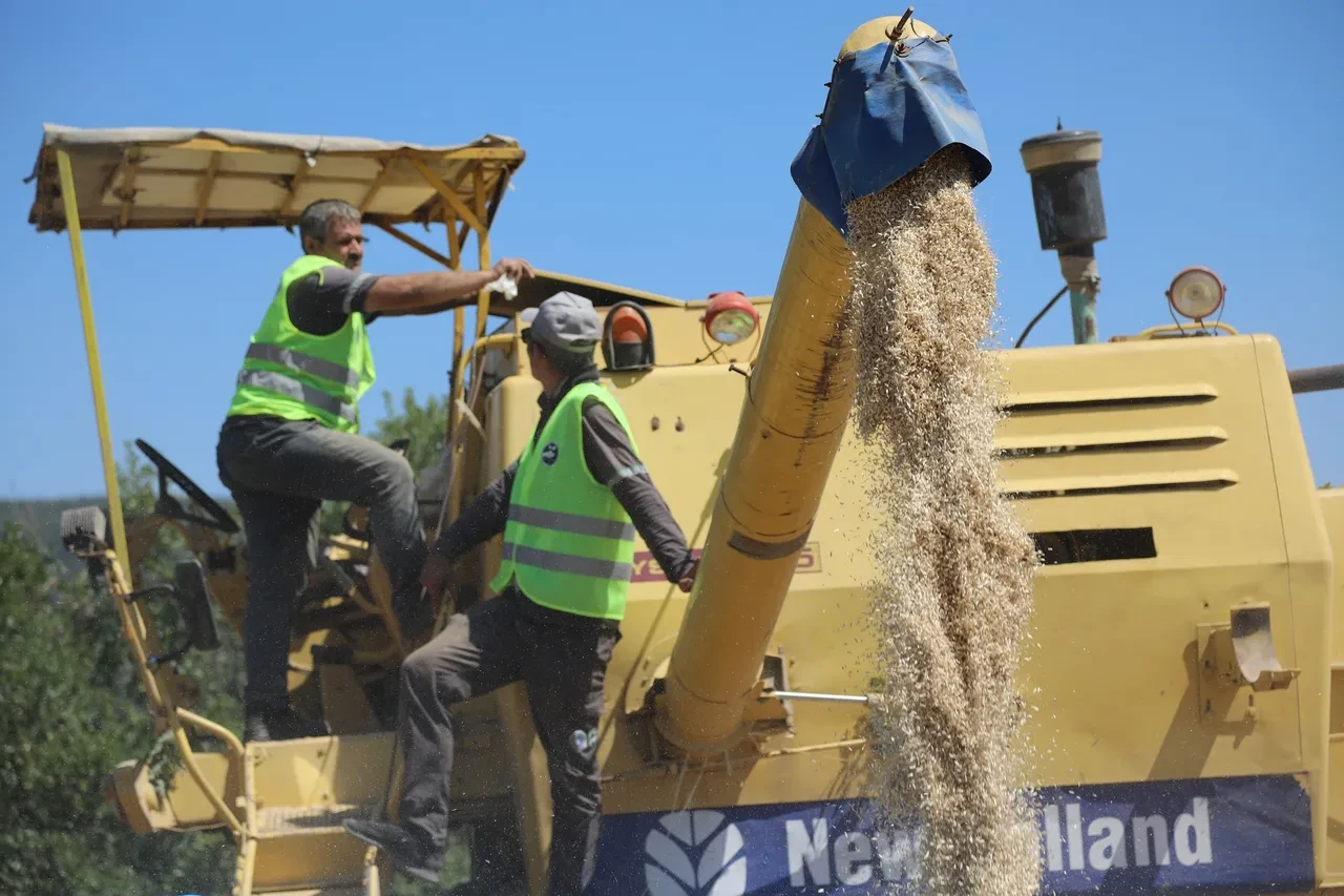 Diyet yapanları sevindiren haber geldi! Siyez buğdayına doyacaksınız