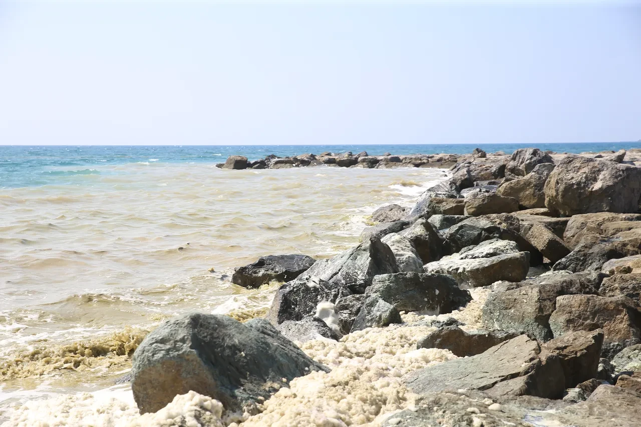 Hatay kıyılarında beyaz kabus! Tüm yüzeyi kapladı, vatandaş endişeli