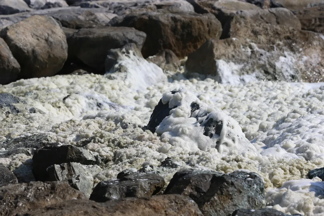 Hatay kıyılarında beyaz kabus! Tüm yüzeyi kapladı, vatandaş endişeli