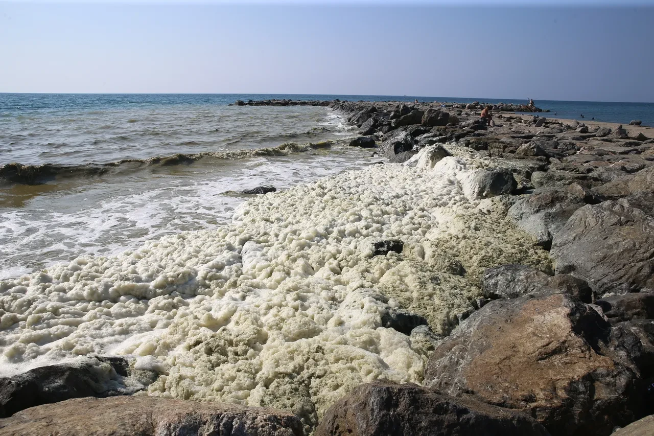 Hatay kıyılarında beyaz kabus! Tüm yüzeyi kapladı, vatandaş endişeli