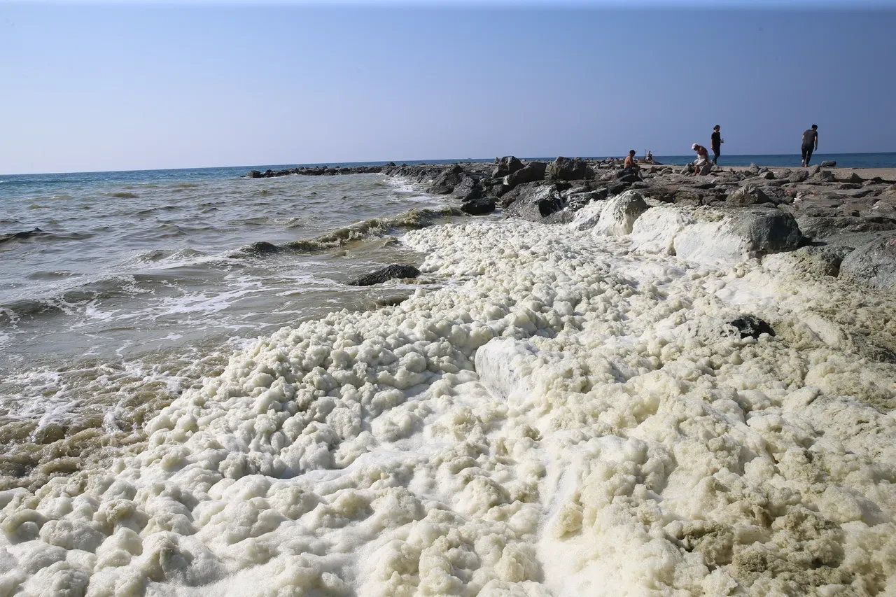 Hatay kıyılarında beyaz kabus! Tüm yüzeyi kapladı, vatandaş endişeli