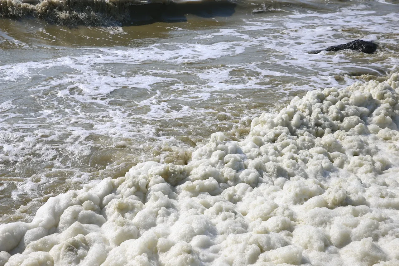 Hatay kıyılarında beyaz kabus! Tüm yüzeyi kapladı, vatandaş endişeli