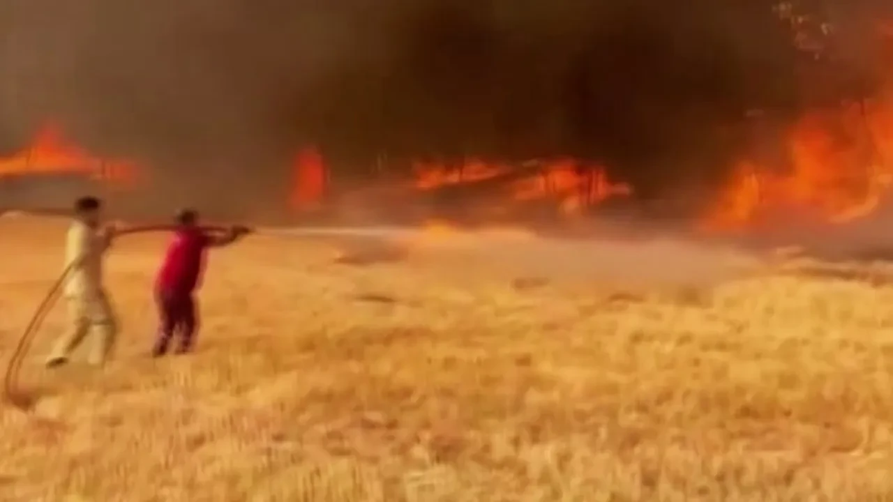 Orman yangınında en çarpıcı görüntüler! Alevlerin kalbinde mücadele