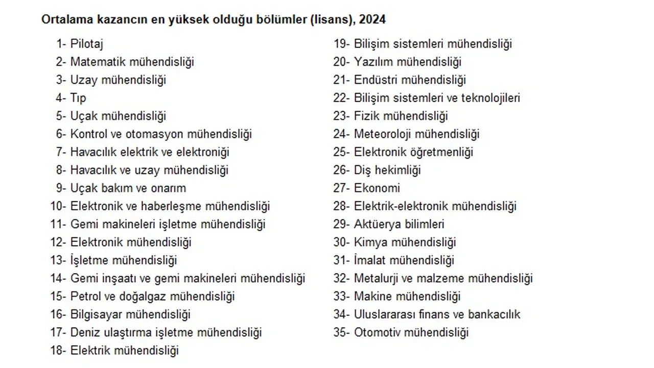 TÜİK açıkladı: İşte en çok para kazandıran meslekler