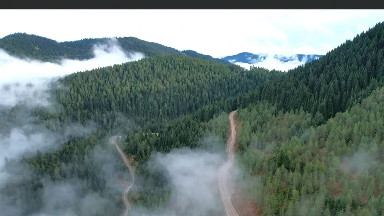 Valilik duyurdu! Ormanlara girişler yasaklandı
