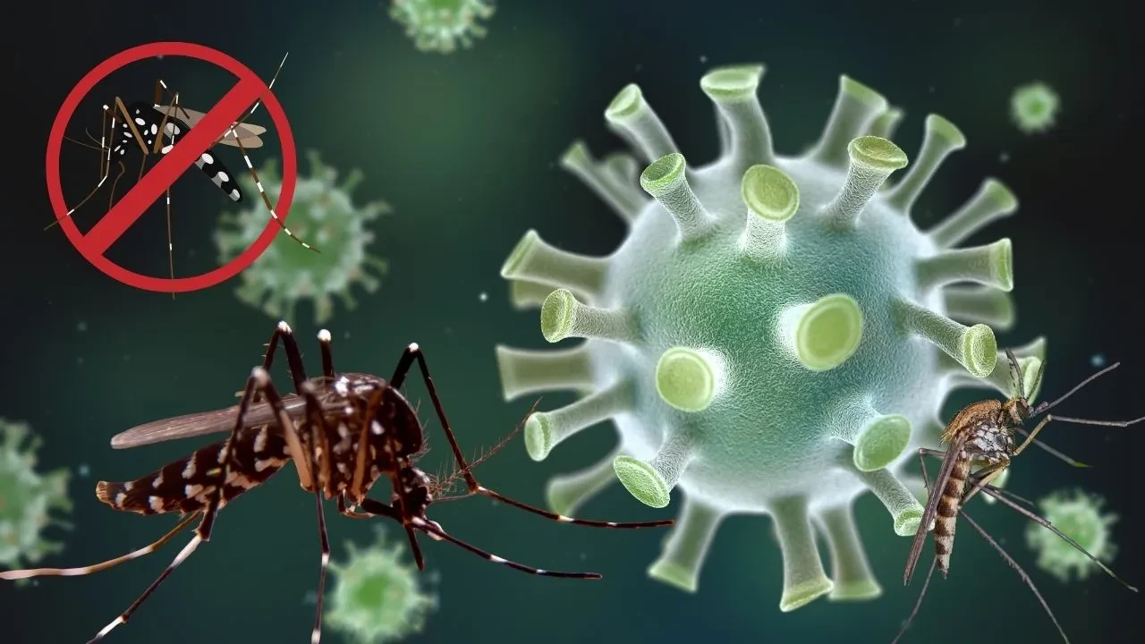 Chikungunya virüsü nedir, belirtileri neler? DSÖ'den uyarı: Sivrisineklere dikkat