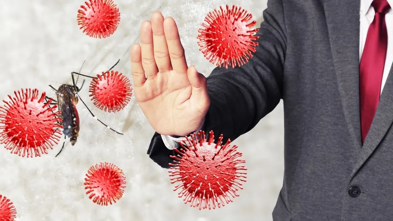 Chikungunya virüsü nedir, belirtileri neler? DSÖ'den uyarı: Sivrisineklere dikkat