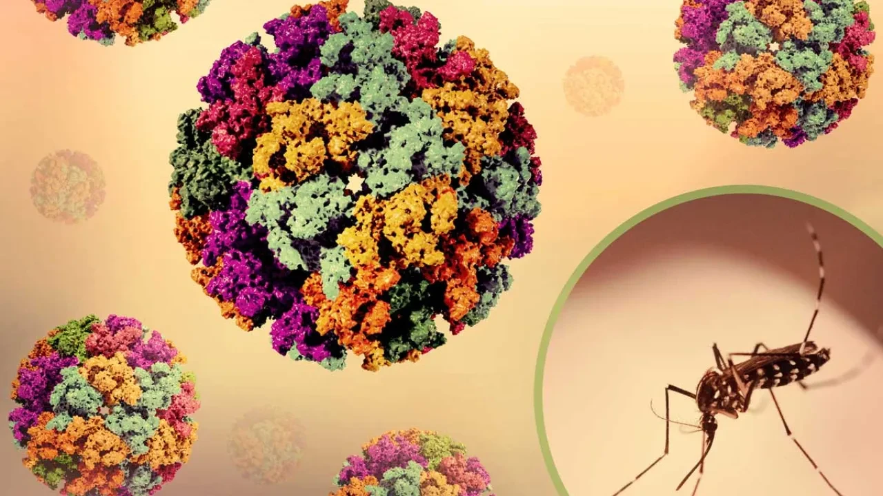 DSÖ'den kritik chikungunya uyarısı! Yeni salgın kapıda: Avrupa'ya yayıldı, Türkiye de risk altında 
