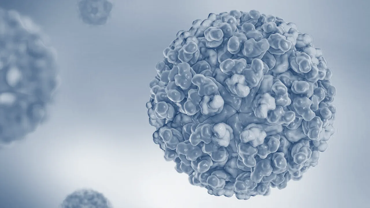 DSÖ'den kritik chikungunya uyarısı! Yeni salgın kapıda: Avrupa'ya yayıldı, Türkiye de risk altında
