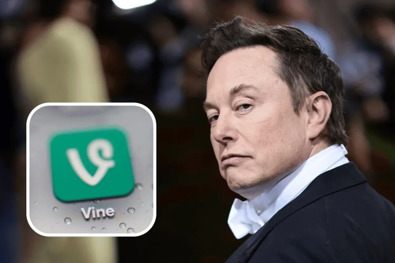 Elon Musk duyurdu: Vine geri geliyor ama değişik bir şekilde