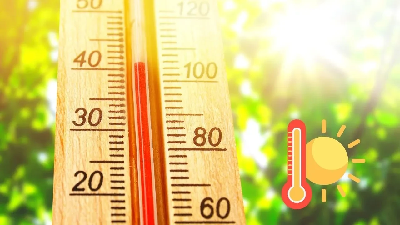 İstanbul bugün kaç derece 24 Temmuz? MGM hissedilen sıcaklık verisini paylaştı