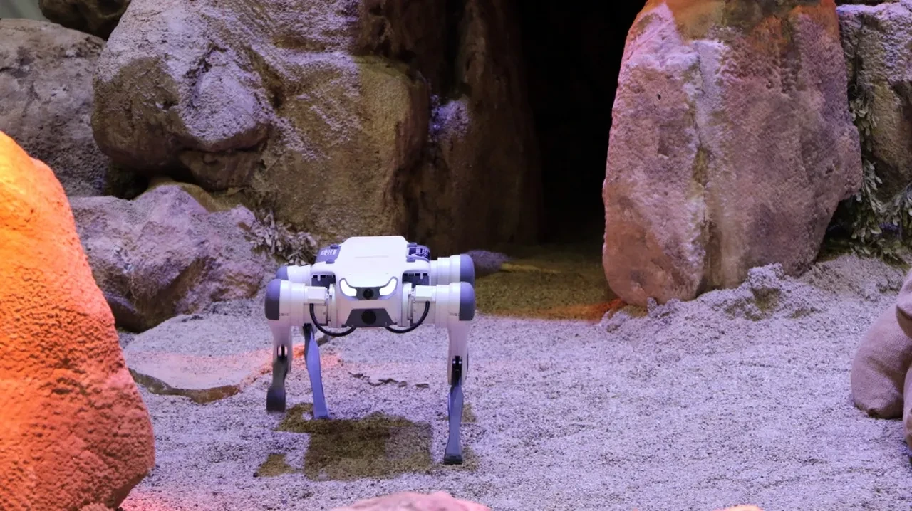 Zıplayan, takla atan ve selam veren askeri robot köpekler tanıtıldı