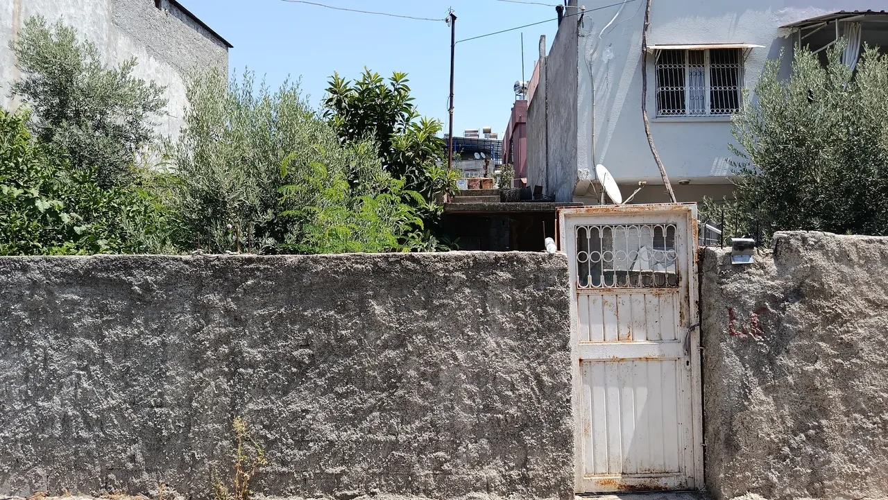 Adana'da vahşet! Annesini döve döve öldürdü: Yerde hareketsiz yattığını görünce...