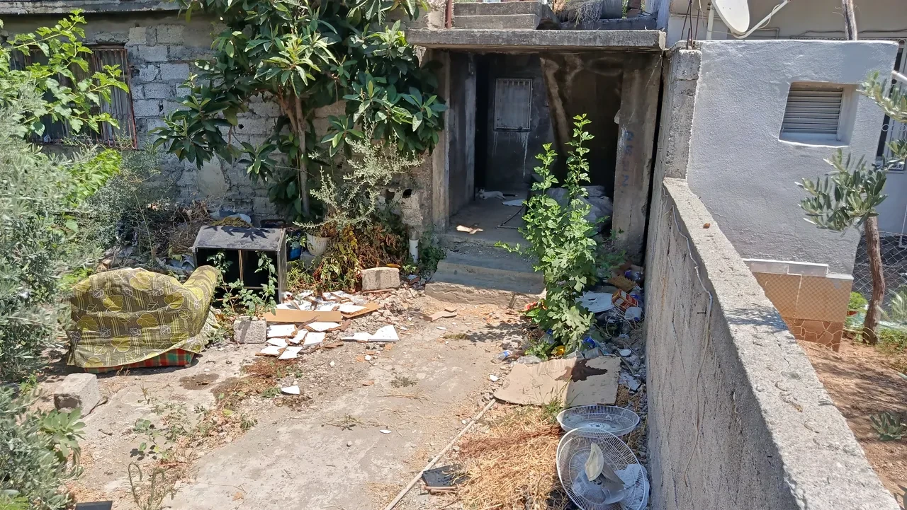 Adana'da vahşet! Annesini döve döve öldürdü: Yerde hareketsiz yattığını görünce...