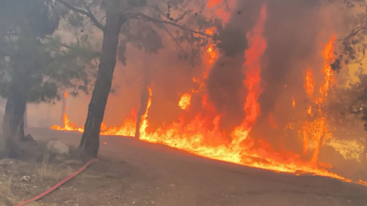 Antalya'da yangın söndürüldü mü, nerede? Son dakika orman yangınına müdahale