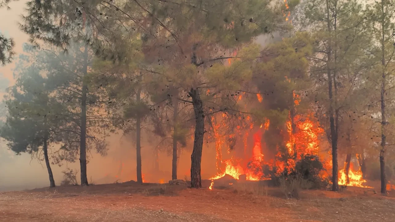 Antalya'da yangın söndürüldü mü, nerede? Son dakika orman yangınına müdahale