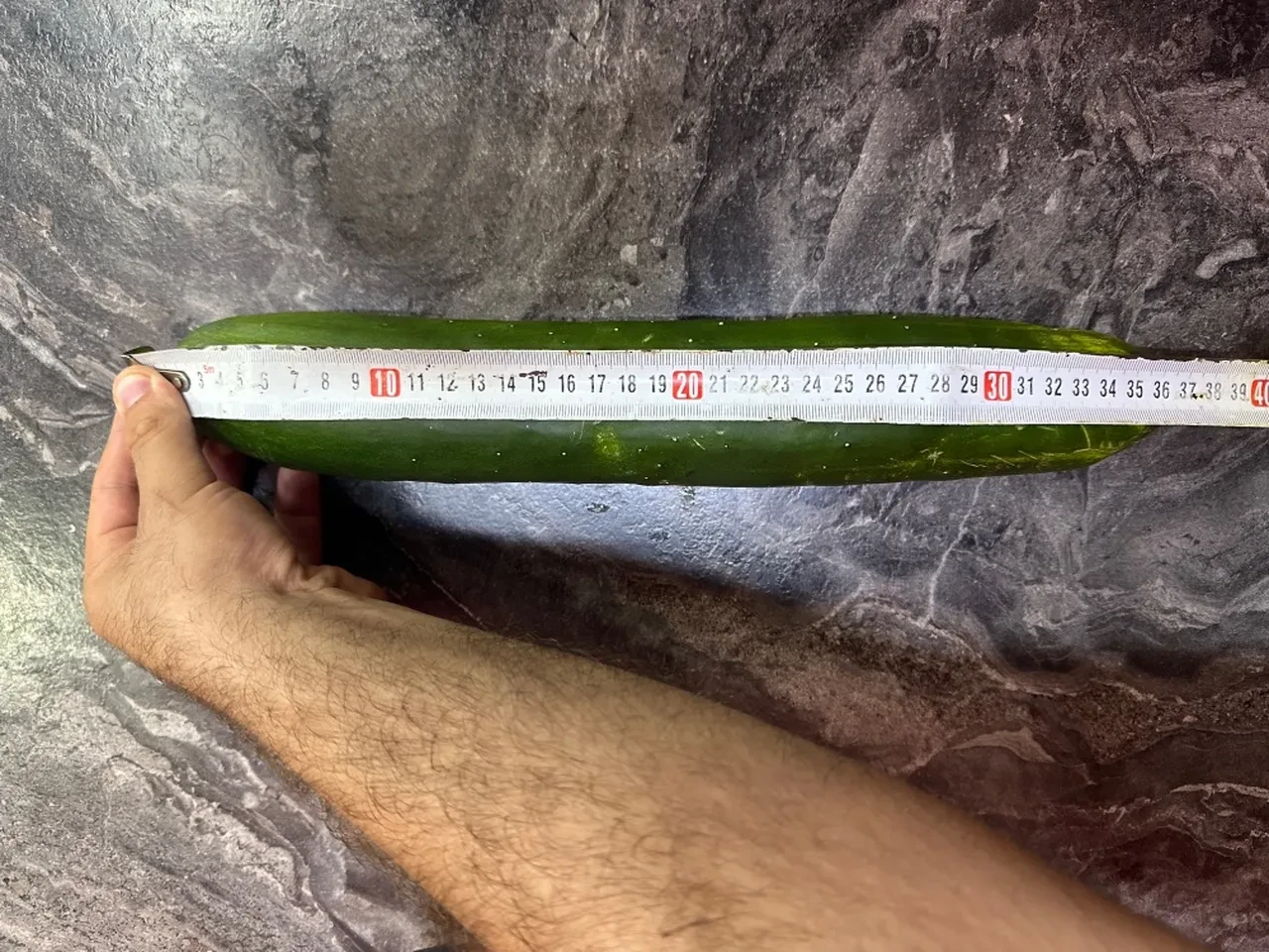"Bu gerçek olamaz" dedirten salatalık! Gören fotoğrafını çekmeden geçmiyor