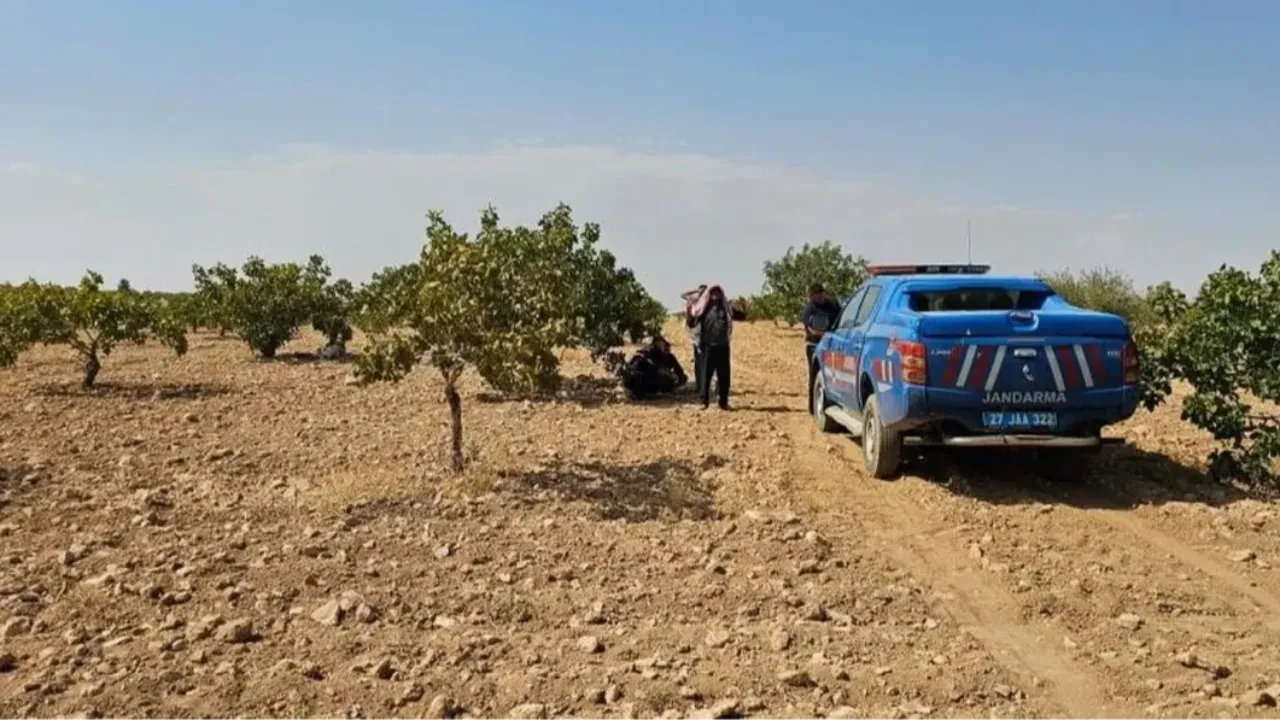 Antep fıstığı hasadı yaparken fenalaşan işçi hayatını kaybetti