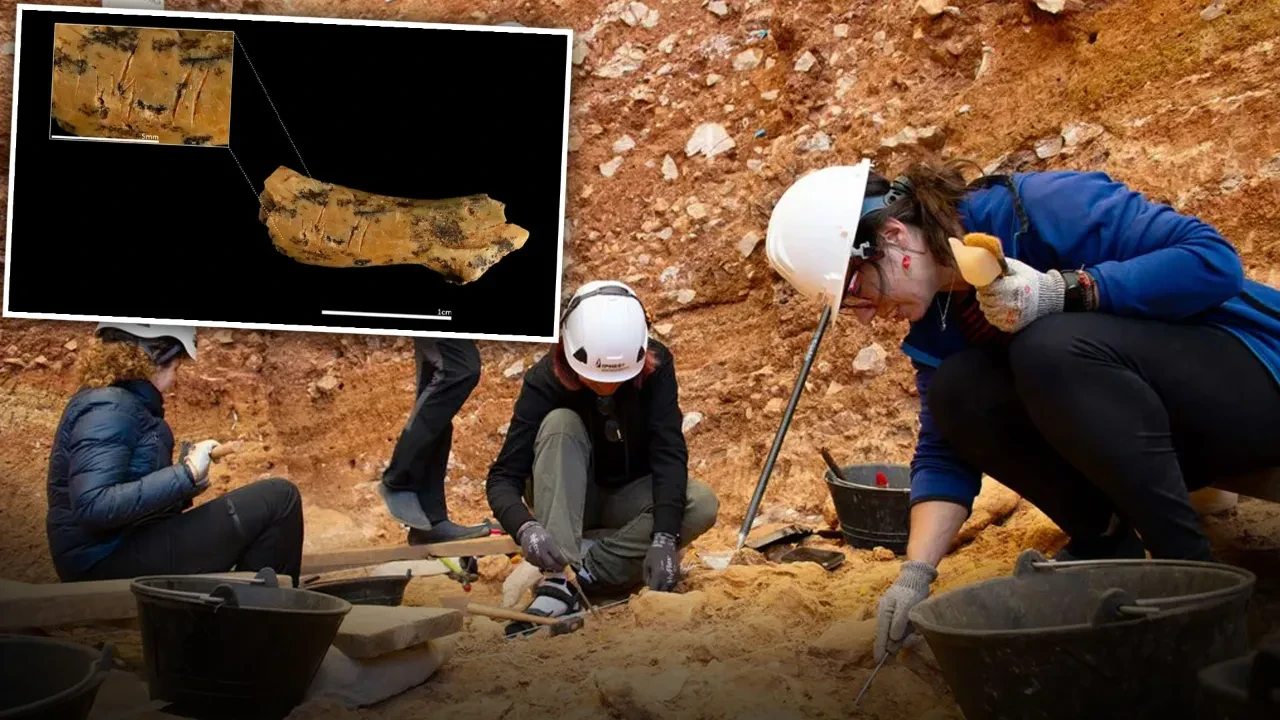 Avrupa'da insan yamyamlığının ilk kanıtları olabilir! 850 bin yıllık çocuk kemiği tarihe ışık tutuyor