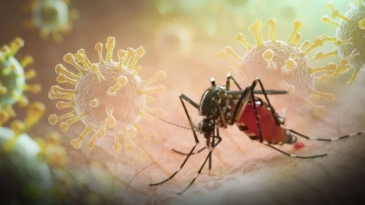 Çin'deki Chikungunya virüsü kontrolden çıkıyor! Şimdiden binlerce kişiye bulaştı