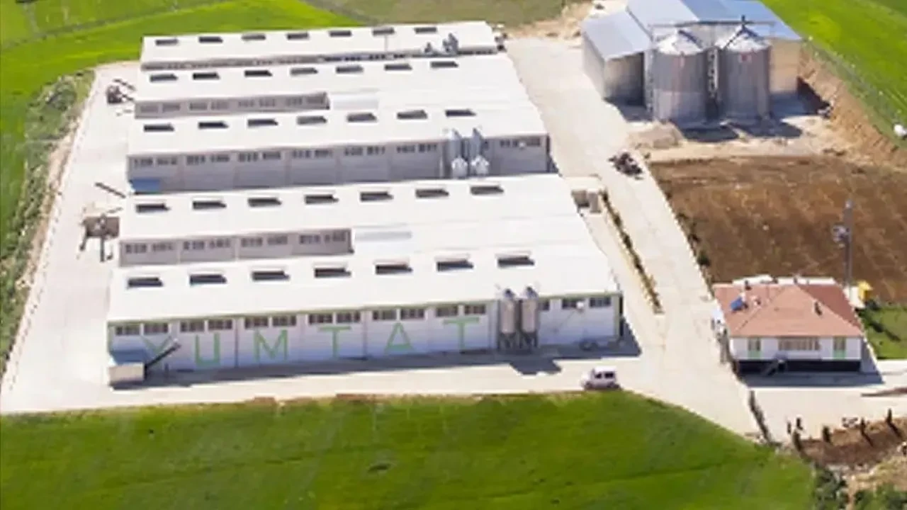 HAKMAR ve TATBAK'tan sonra ortaya çıktı: YUMTAT'a kayyum atandı!