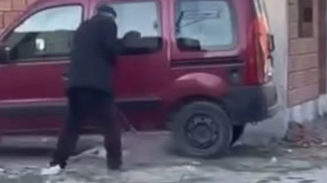 Köpeğe şiddet uygulayan şahısa para cezası