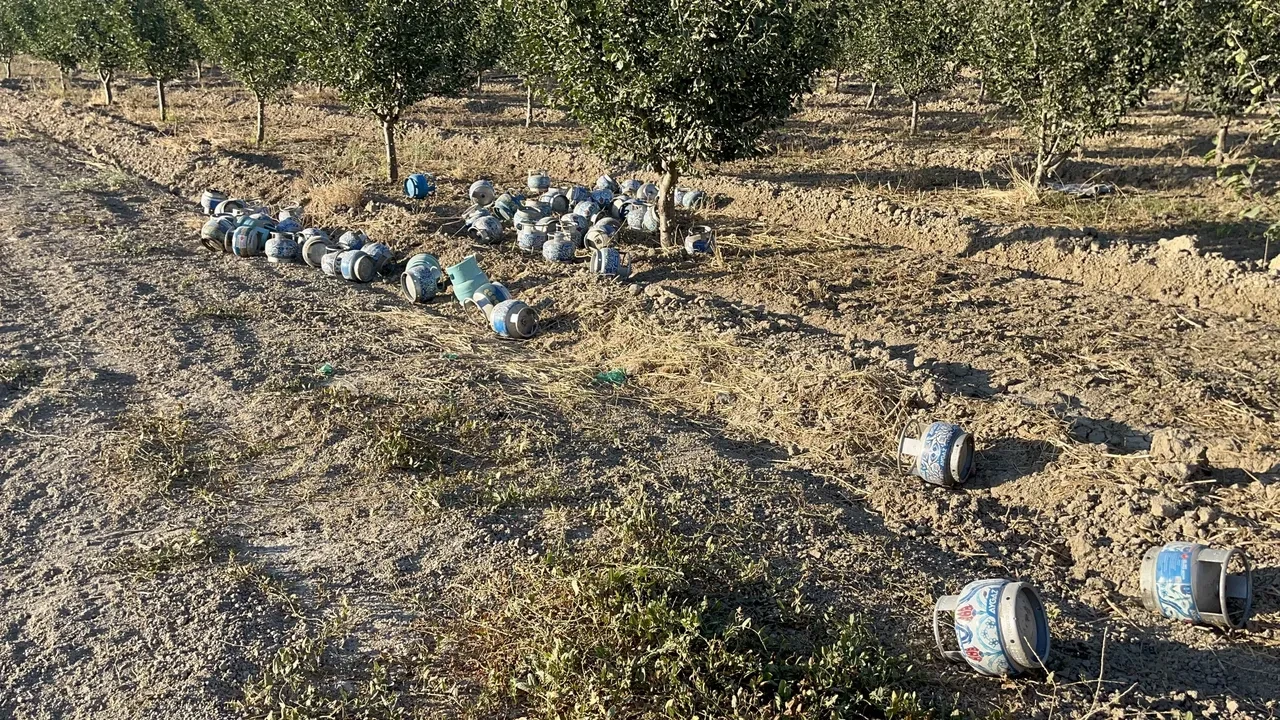Köy tamamen boşaltıldı! Tarlalardaki görüntü şoke etti: Nedeni sonradan anlaşıldı