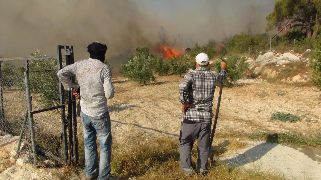 Mersin Silifke orman yangını söndürüldü mü? Son dakika Mersin yangınına müdahale