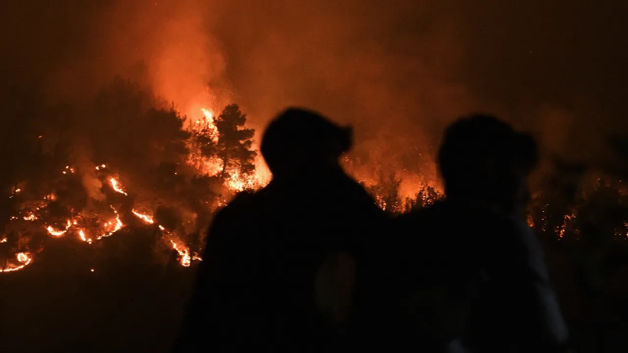 AFAD'dan orman yangınlarıyla ilgili açıklama