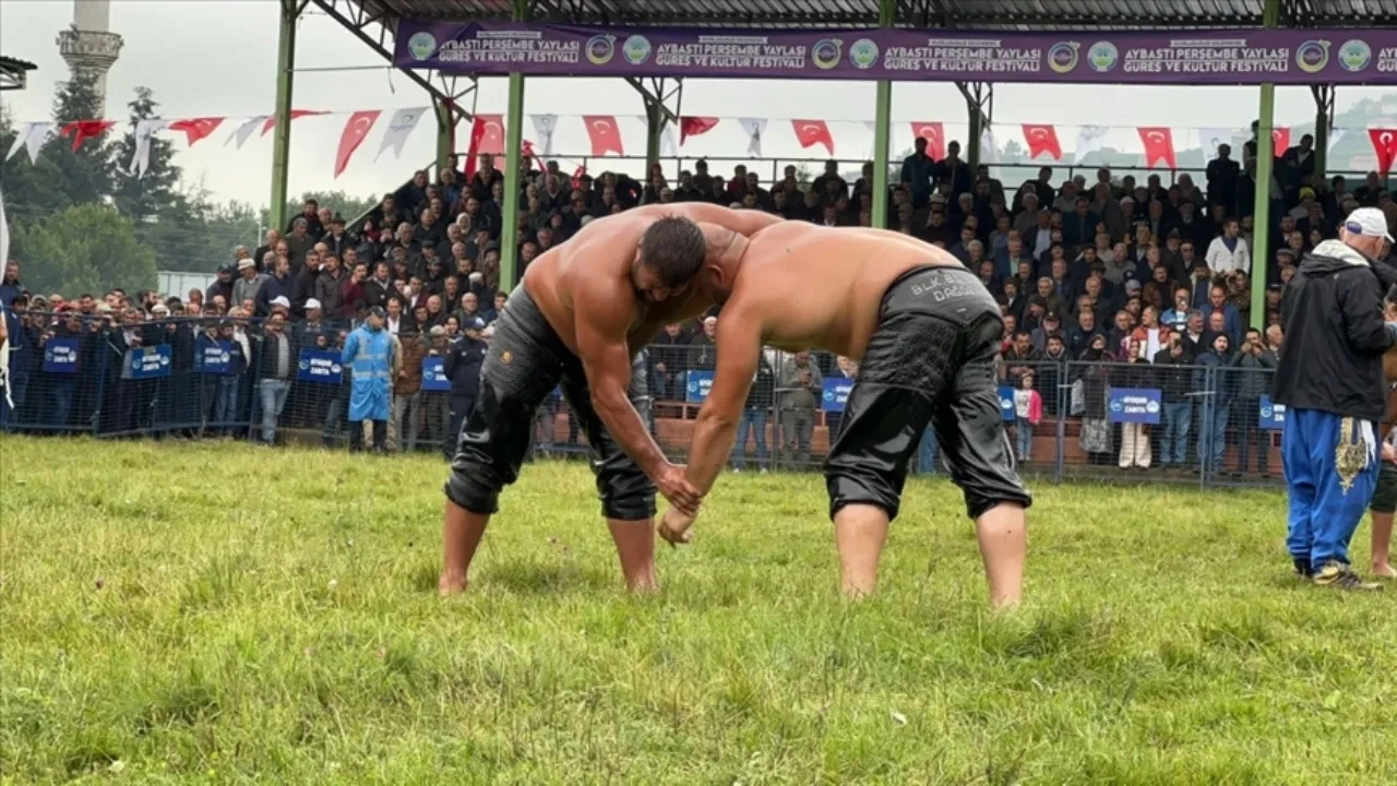 Aybastı yağlı güreşleri hangi kanalda, saat kaçta? Çeyrek final, yarı final ve final bugün oynanacak