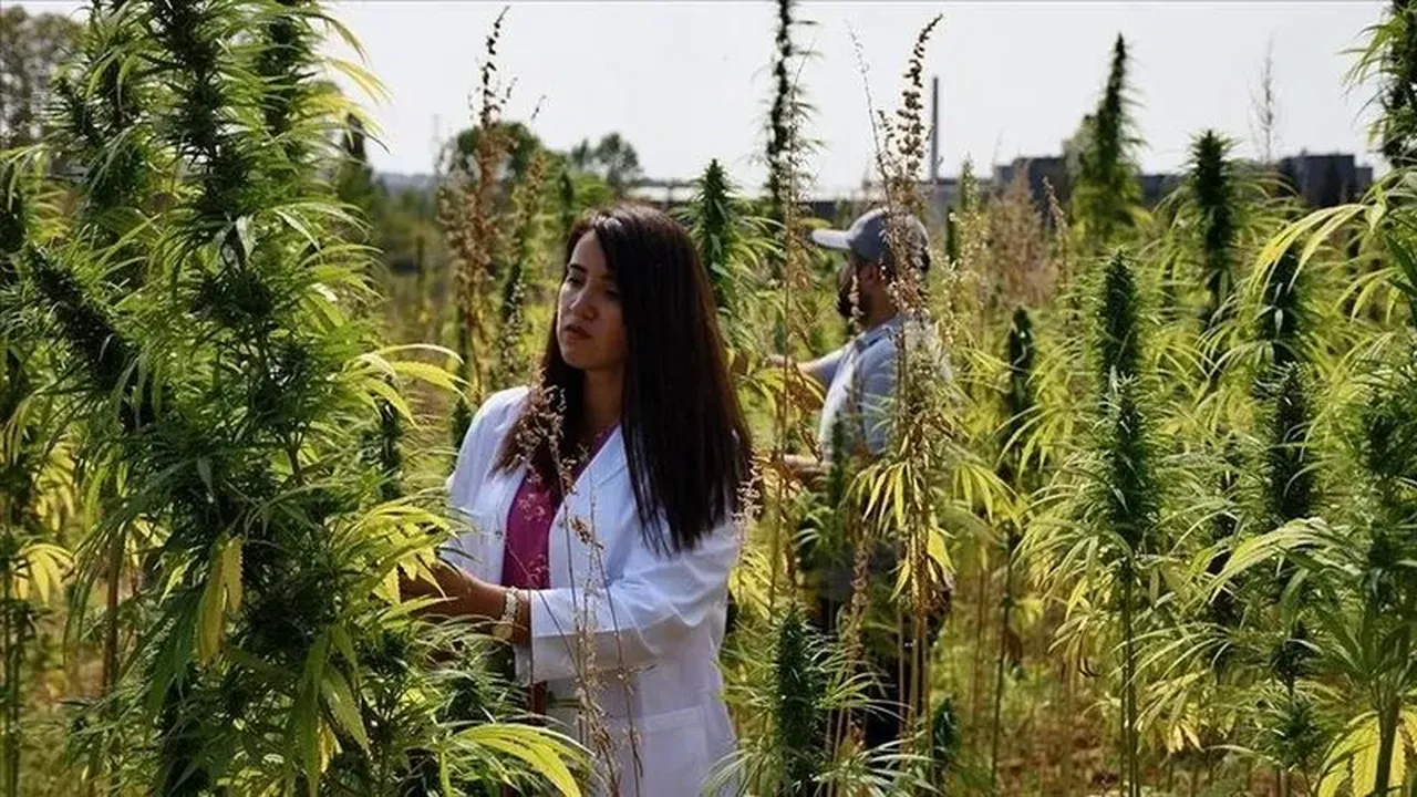 Kenevir serbest mi olacak? O iddialara açıklama geldi