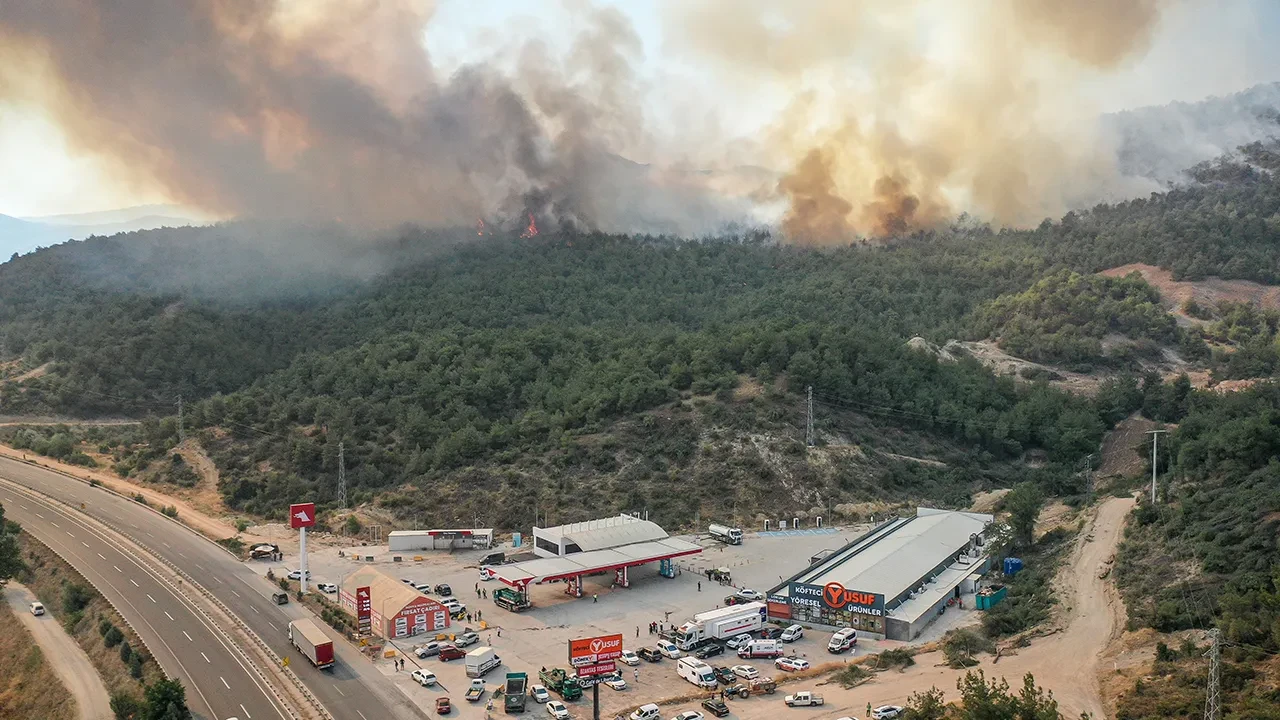 Küle dönen ormanlardaki yangınları böyle çıkarmışlar! Eski yatak detayı kahretti
